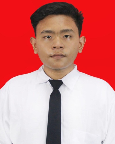 JOHARIS STEPHEN MANURUNG