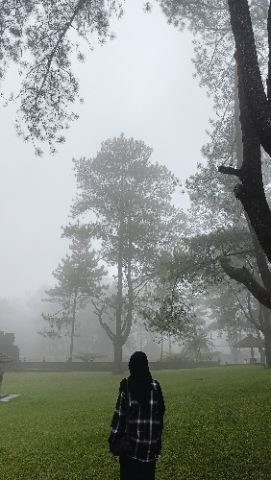 SARAH SHIBA HUWAIDAH