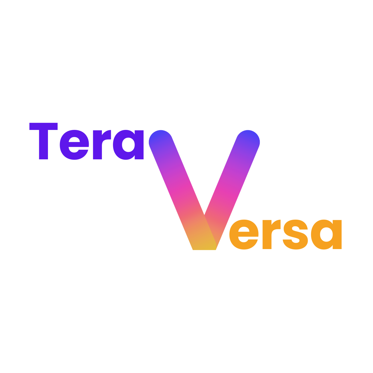Tera Versa Logo